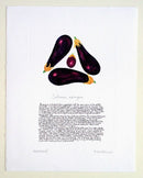 Aubergines Print