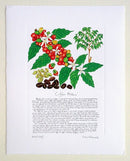 Coffee Print