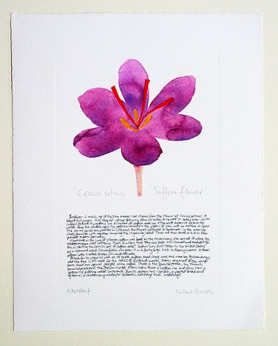 Saffron Print