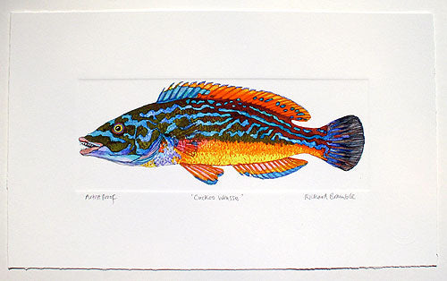Cuckoo Wrasse Print Richard Bramble styled on the table