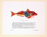 Gurnard Print with text Richard Bramble