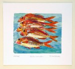 Shoal of Red Mullet Print, no text by Richard Bramble