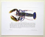 Lobster Print with text Richard Bramble