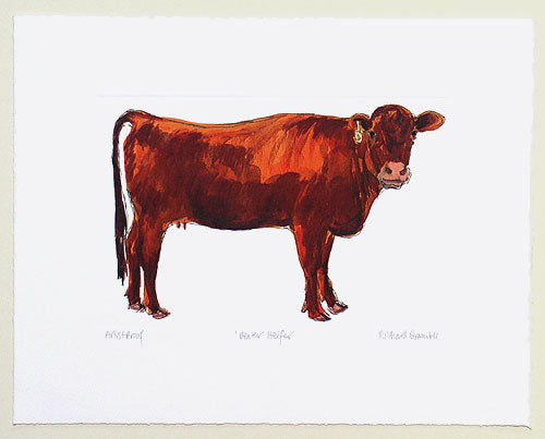 Dexter Heifer Cow Print styled on the table