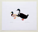 Ducks Print