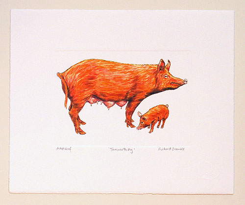 Tamworth Pig Print