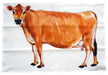 Jersey Cow Tea Towel