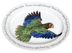 Amazonian Parrot Oval by Richard Bramble made by Jersey Pottery