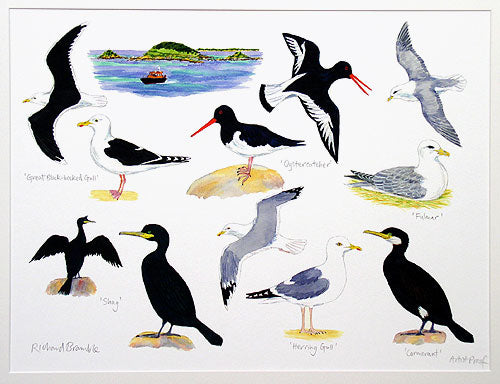 Seabirds I Print