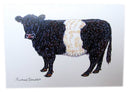 Belted Galloway Cow Greeting Card