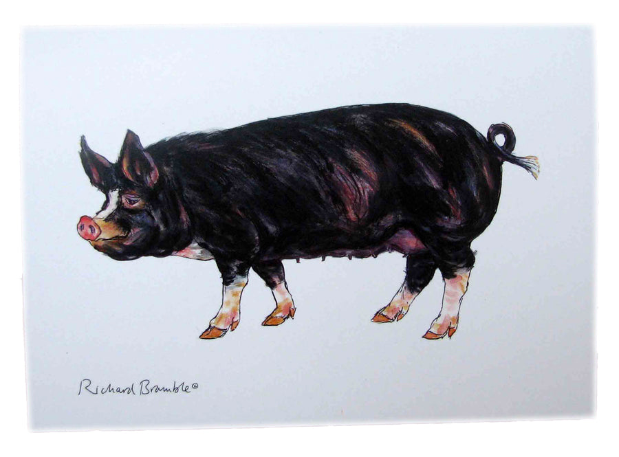 Berkshire Pig Greeting Card Richard Bramble (printed to order)