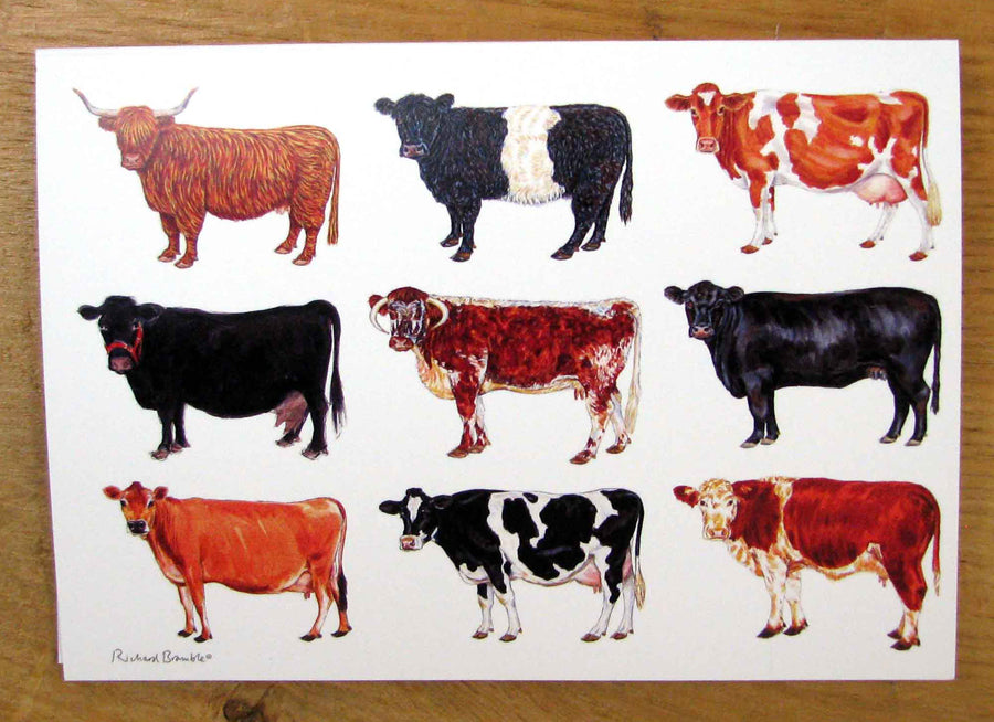 Richard Bramble Multi Cows Greeting Card