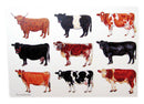 Cows Greeting Card