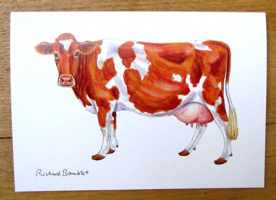 Richard Bramble Guernsey Cow Greeting Card