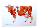 Guernsey Cow Greeting Card