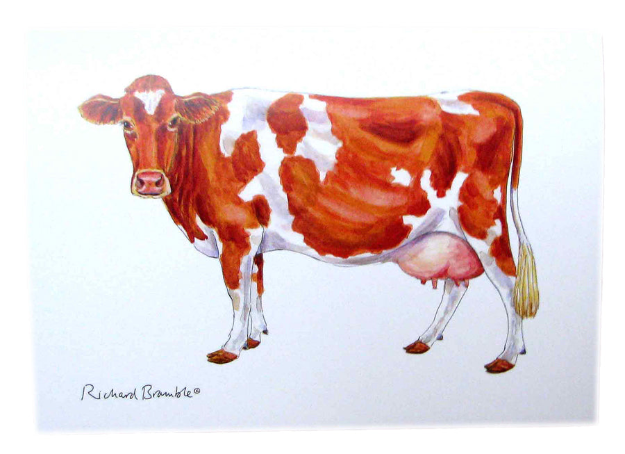 Richard Bramble Guernsey Cow Greeting Card