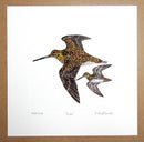 Snipe Print