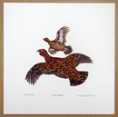 Red Grouse Print