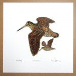 Richard Bramble Woodcock Print