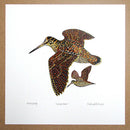 Woodcock Print