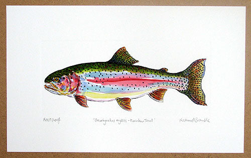 Rainbow Trout Print Richard Bramble