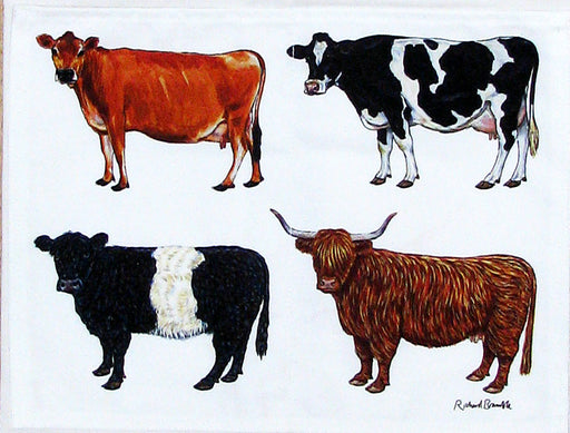 Cows apron pocket