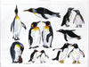 Penguins Apron pocket by Richard Bramble