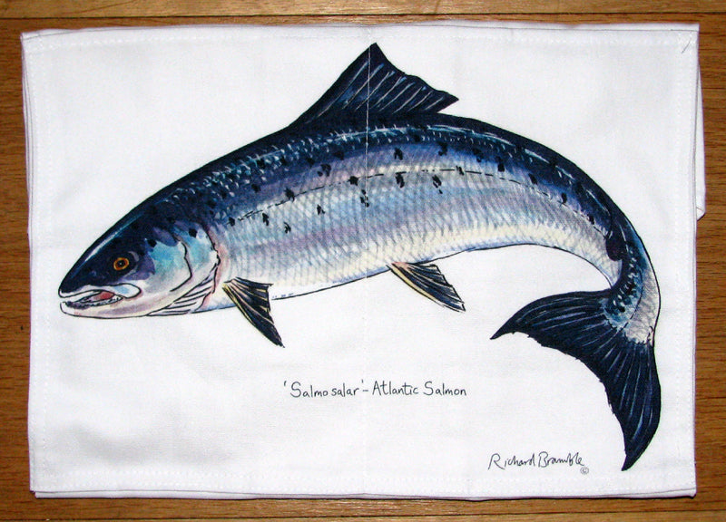 Salmon Apron