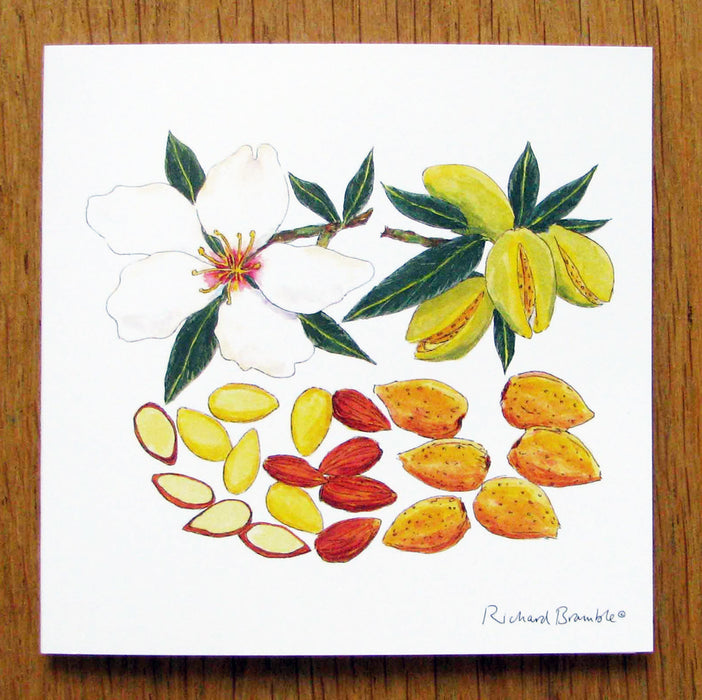 Richard Bramble Almond Blossom & Nut Greeting Card