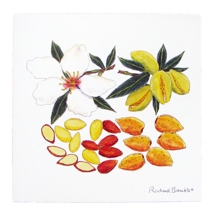 Richard Bramble Almond Blossom & Nut Greeting Card