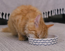 Cat Bowl Wave