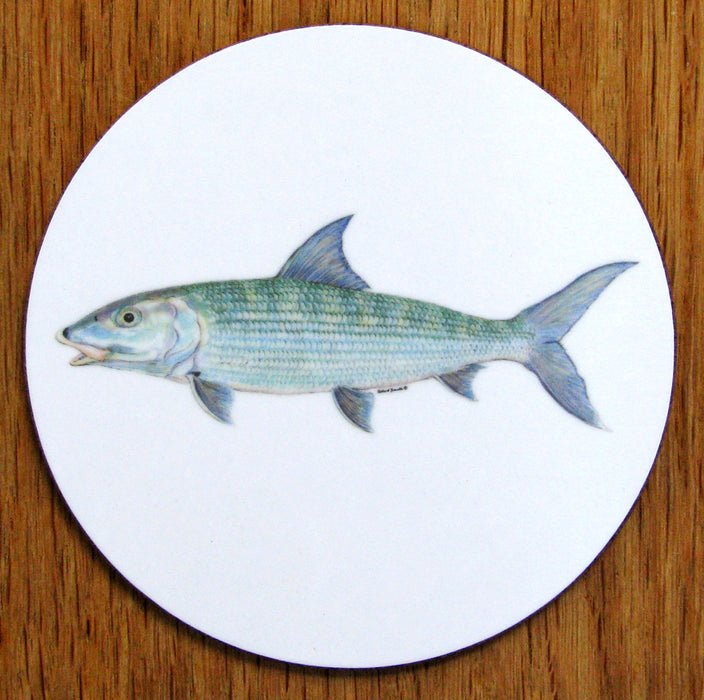 Bonefish Coaster