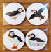 Richard Bramble Puffins Gift Coaster Pack