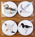 Richard Bramble Seabirds Gift Coaster Pack