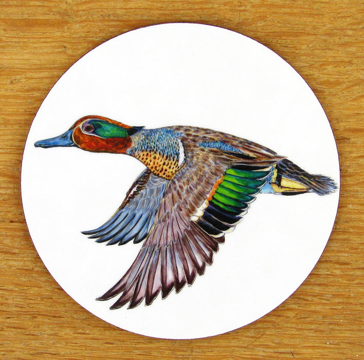 Green Winged Teal Coaster by Richard Bramble