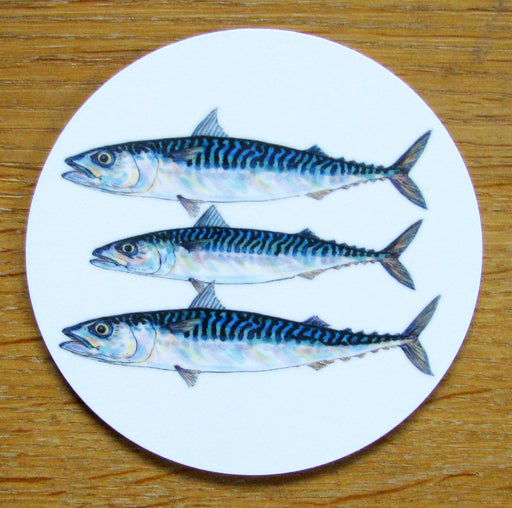 Richard Bramble Mackerel Coaster