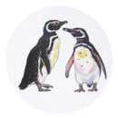 Magellanic Penguins Coaster