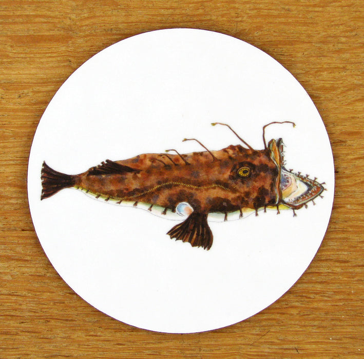 Monkfish Coaster by Richard Bramble