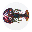 North American Lobster Coaster