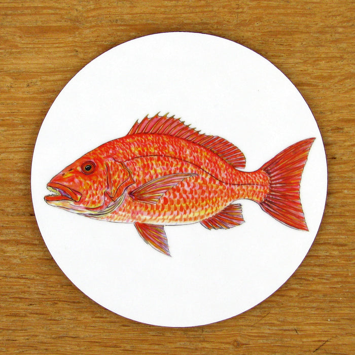 Red Snapper Coaster by Richard Bramble