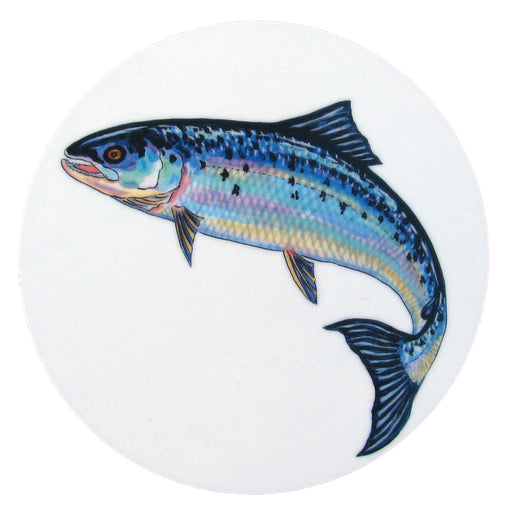 Richard Bramble Salmon Coaster