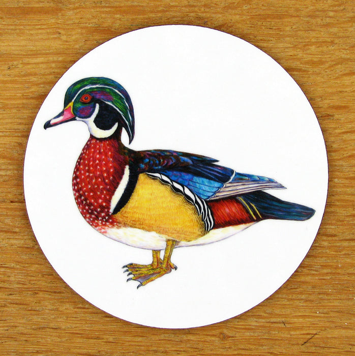Wood Duck Coaster by Richard Bramble