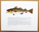 Cod Print with text large size