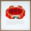 Crab with text print