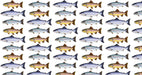 Richard Bramble Trout & Salmon Fabric (made to order)