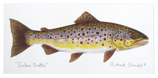  Richard Bramble Brown Trout Greeting Card