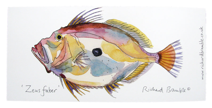 John Dory & Sea Bass Greeting Card | Richard Bramble