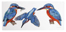 Kingfisher Greeting Card