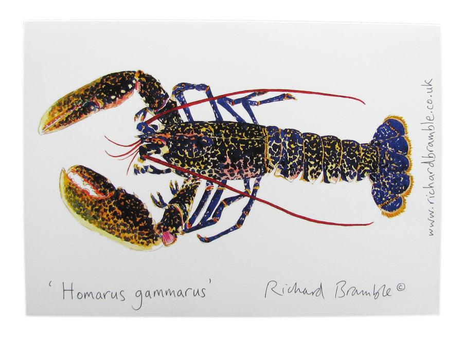 Richard Bramble Lobster Greetings Card