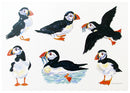 Puffins LARGE Greeting Card